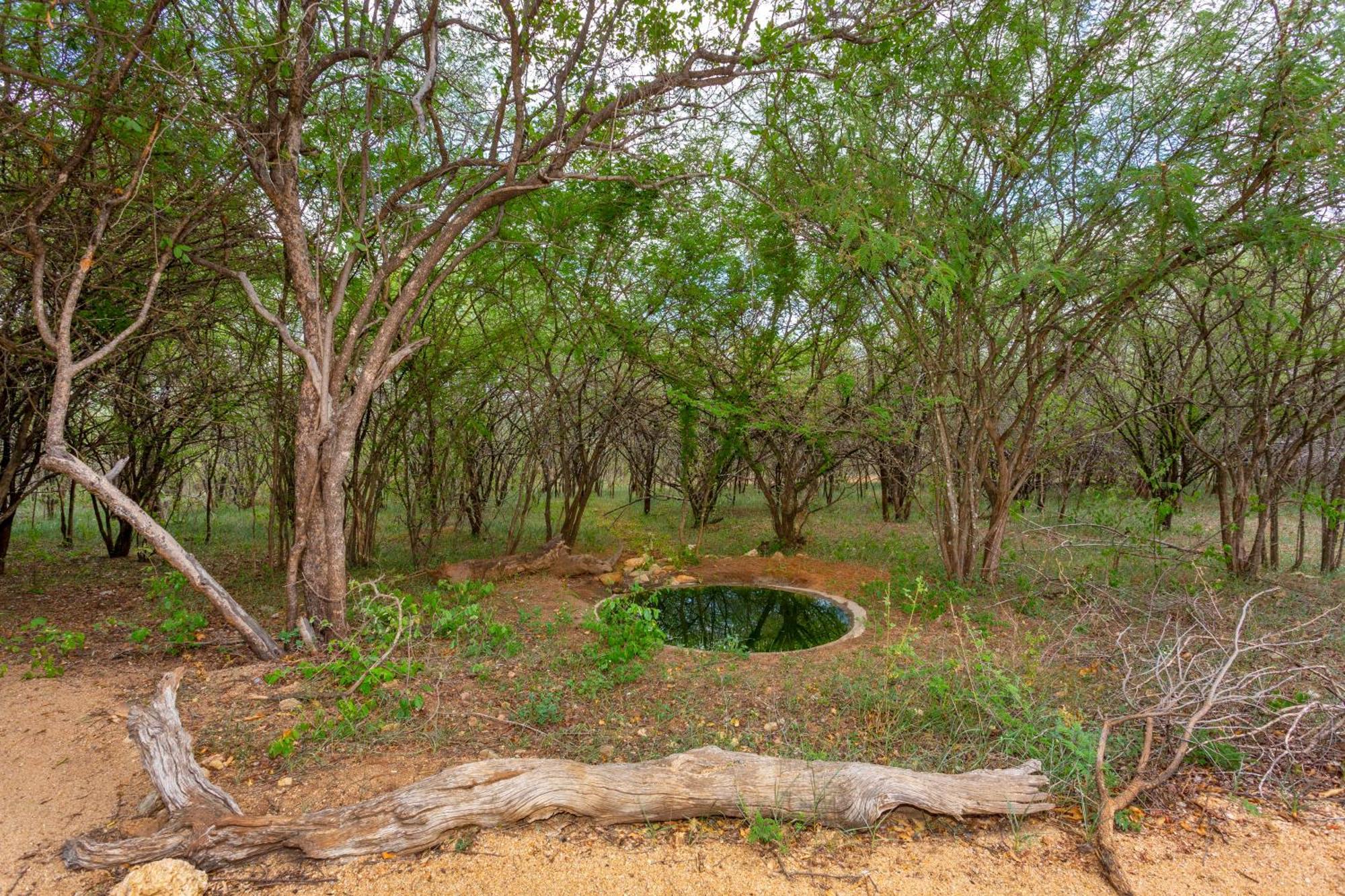 Vila The Bush House Hoedspruit Exteriér fotografie
